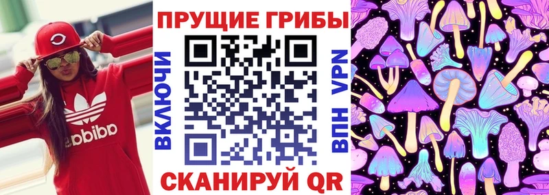 Галлюциногенные грибы Psilocybine cubensis  Гай 